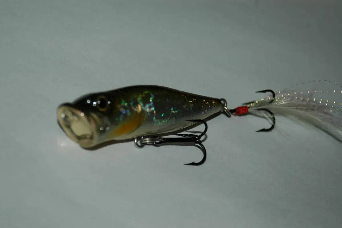 A modern cupped-face popper with a feather tail instead of a rubber skirt